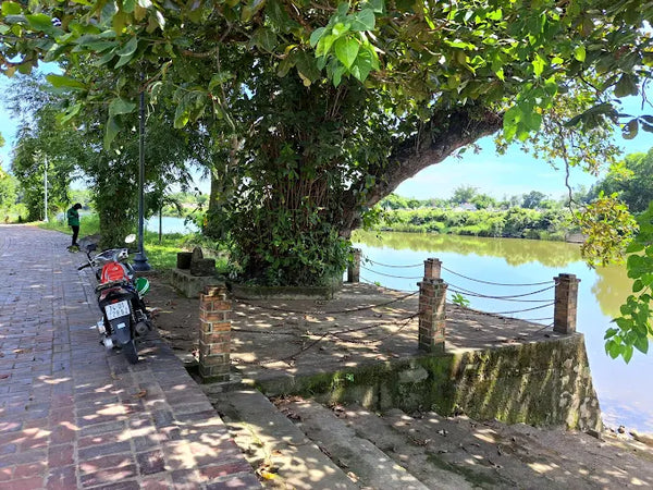 Làng Cổ Phước Tích: Nốt Trầm Rêu Phong Bên Dòng Ô Lâu