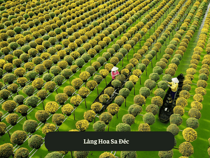 Làng Hoa Sa Đéc