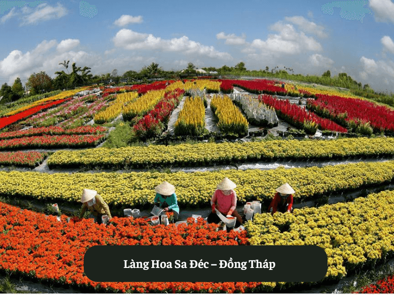 Làng Hoa Sa Đéc – Đồng Tháp