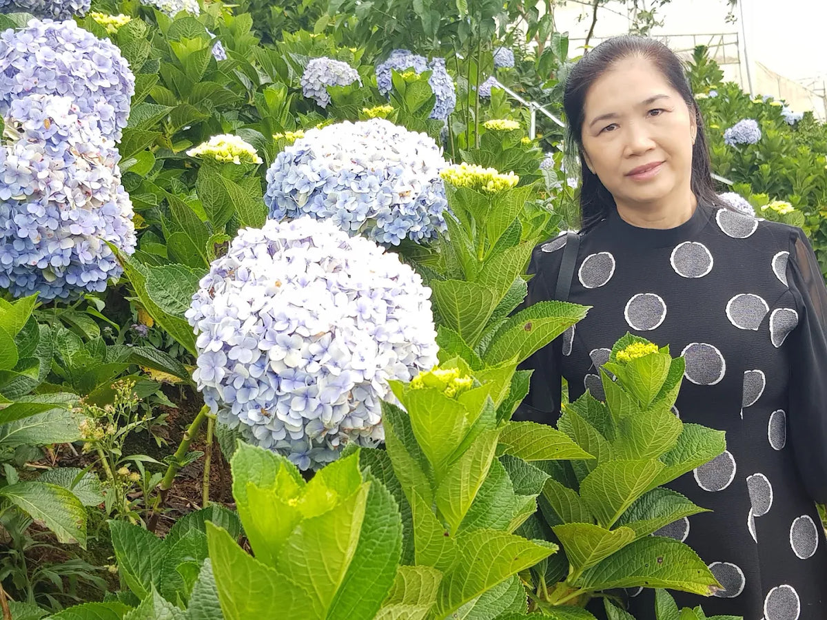 Tối Ưu Hóa Hành Trình Cùng Nền Tảng Trải Nghiệm Địa Phương