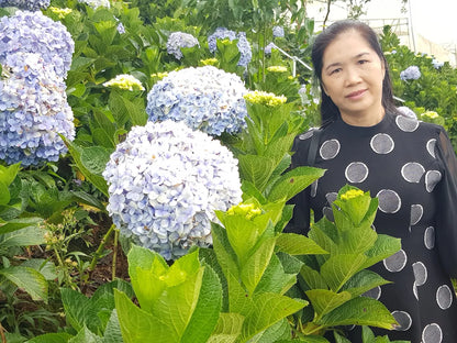 Tối Ưu Hóa Hành Trình Cùng Nền Tảng Trải Nghiệm Địa Phương
