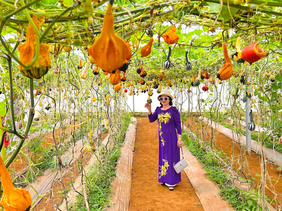 Bảng Thông Tin Điểm Đến Và Chi Phí Tham Khảo