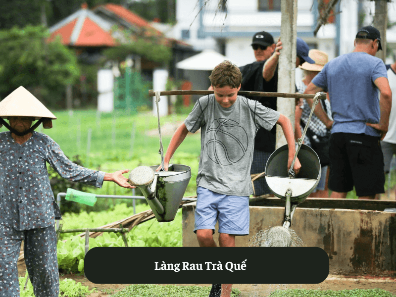 Làng Rau Trà Quế