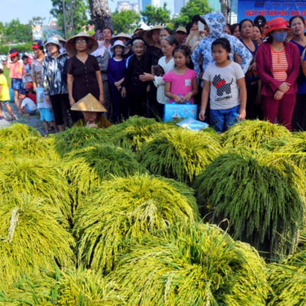 Làng cốm Mễ Trì