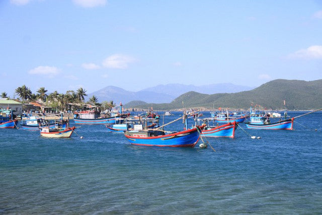 Trải nghiệm lặn ngắm san hô tại Bích Đầm có gì khác biệt so với Hòn Mun?