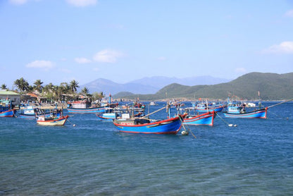 Trải nghiệm lặn ngắm san hô tại Bích Đầm có gì khác biệt so với Hòn Mun?