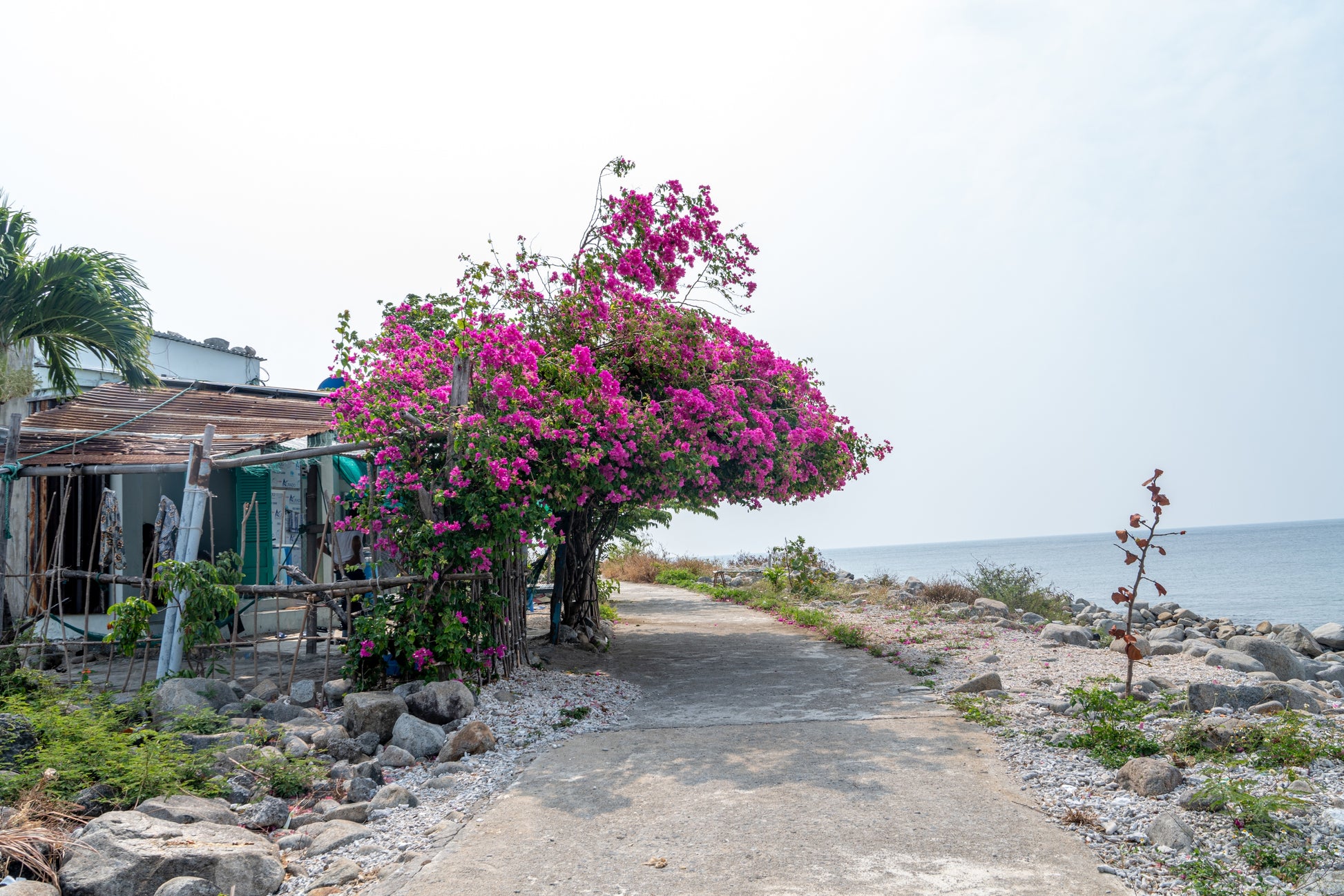 Khám Phá Làng Chài Bích Đầm Nha Trang: Viên Ngọc Xanh Nguyên Sơ Giữa Lòng Vịnh Biển