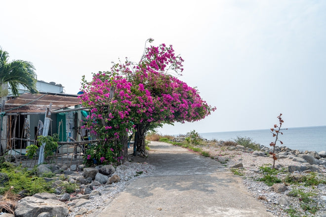 Bich Dam Fishing Village Nha Trang