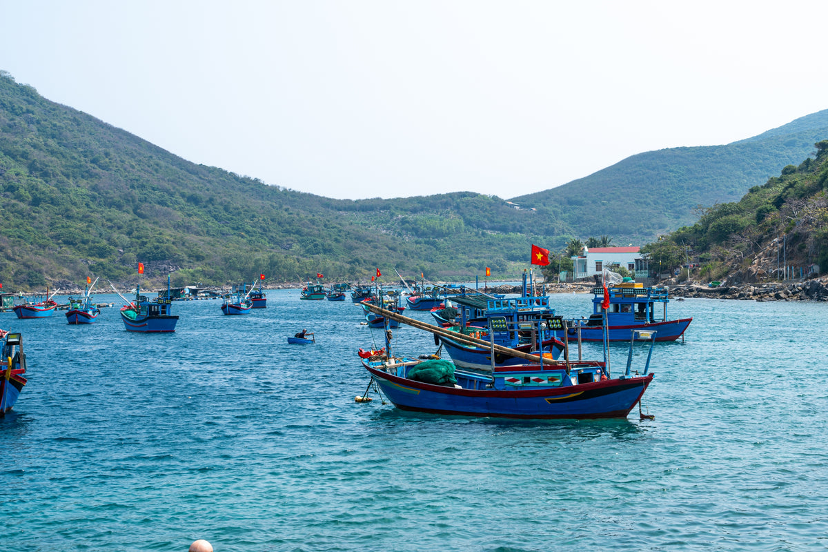 Bảng Giá Vé Tàu, Cano, Homestay Và Dịch Vụ Tại Làng Chài Bích Đầm 2026