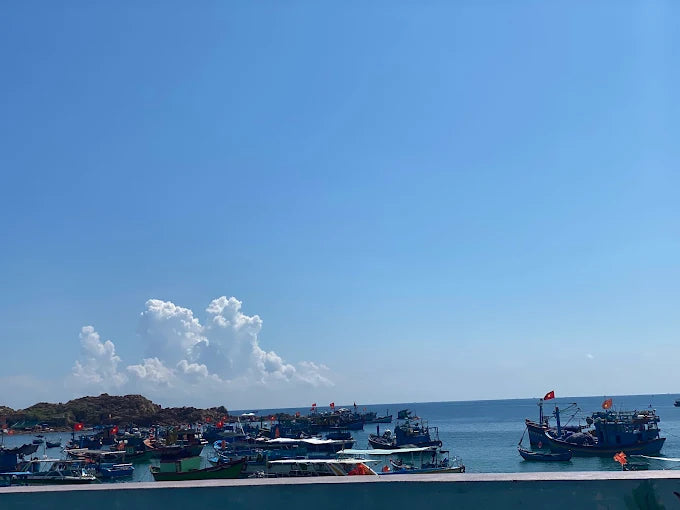 Làng chài Nhơn Hải: Bản Giao Hưởng Giữa Biển Khơi Bình Định Cũ và Gia Lai Mới 2026