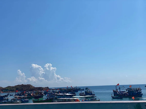 Làng chài Nhơn Hải: Bản Giao Hưởng Giữa Biển Khơi Bình Định Cũ và Gia Lai Mới 2026
