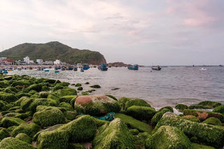 Làng chài Nhơn Hải