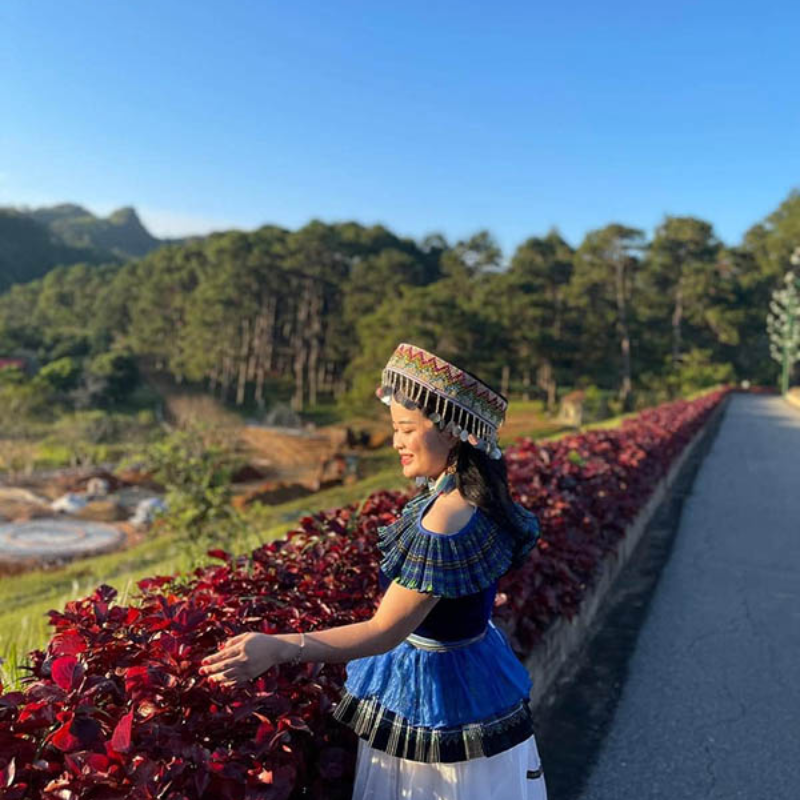 Local Trips.ORG Chuyên Cung Cấp Thông Tin Tìm Kiếm, Địa Điểm Tham Quan Tại Rừng Thông Bản Áng