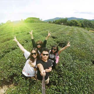 LocalTrips.ORG Chuyên Cung Cấp Thông Tin Tìm Kiếm, Địa Điểm Tham Quan Tại Đồi chè Thanh Chương
