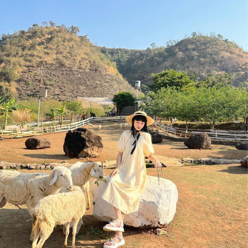 Local Trips .ORG Chuyên Cung Cấp Thông Tin Tìm Kiếm, Địa Điểm Tham Quan Tại Happy Land Mộc Châu