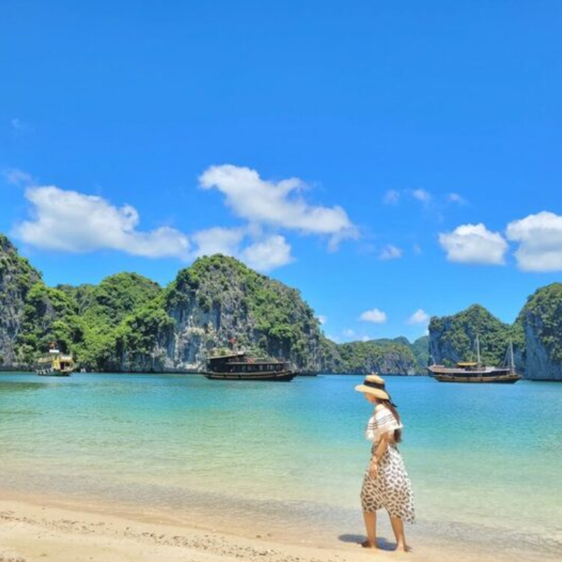 Local Trips .ORG Chuyên Cung Cấp Thông Tin Tìm Kiếm, Địa Điểm Tham Quan Tại Đảo Cát Bà
