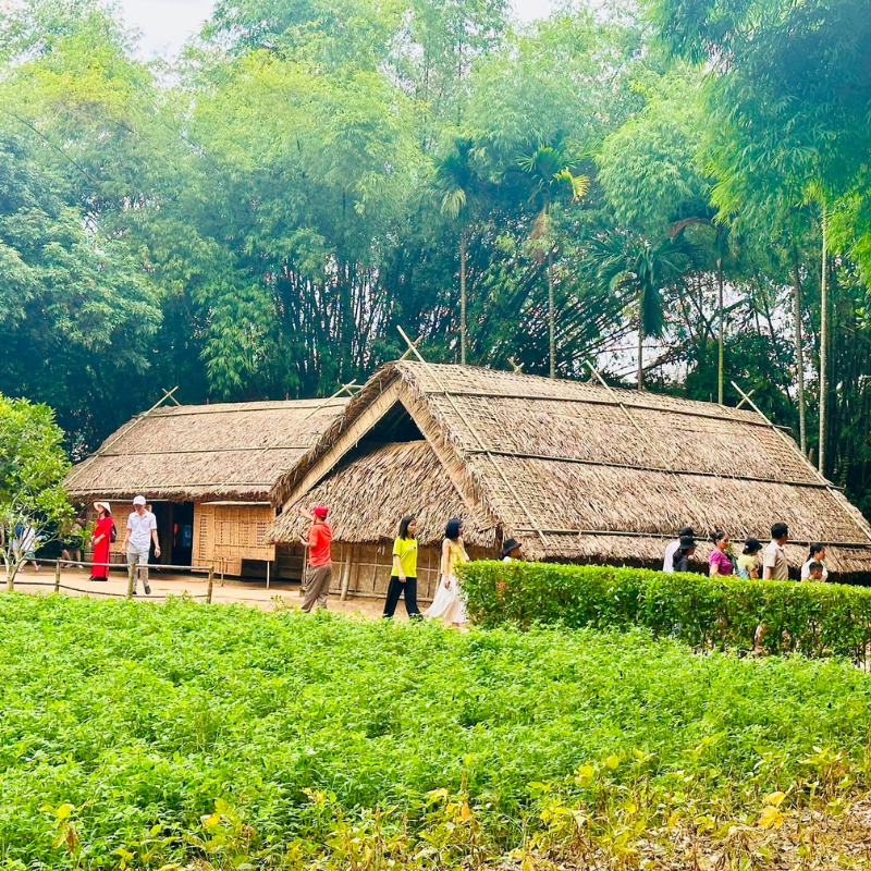 LocalTrips.ORG Chuyên Cung Cấp Thông Tin Tìm Kiếm, Địa Điểm Tham Quan Tại Làng Sen
