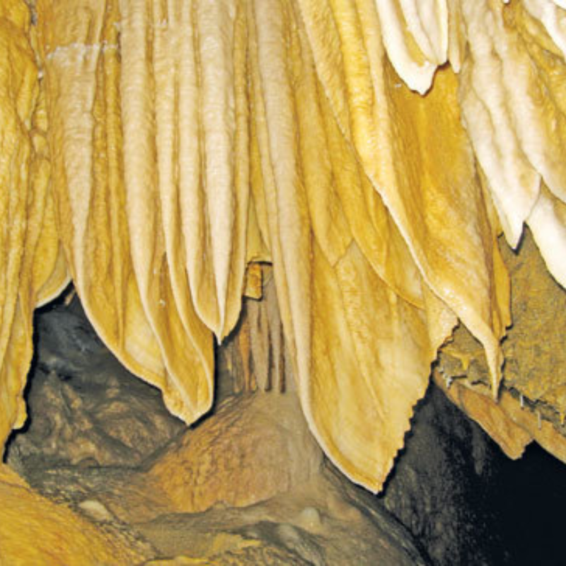 LocalTrips.ORG - Người Bạn Đồng Hành Tin Cậy Trên Hành Trình Khám Phá Hang Lũng Zeng
