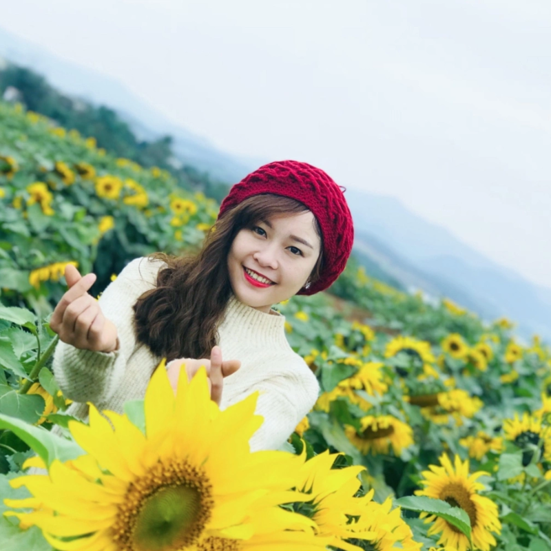 LocalTrips.ORG Chuyên Cung Cấp Thông Tin Tìm Kiếm, Địa Điểm Tham Quan Tại Cánh đồng hoa hướng dương Nghệ An
