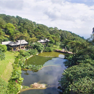 Local Trips .ORG Chuyên Cung Cấp Thông Tin Tìm Kiếm, Địa Điểm Tham Quan Tại Vườn Quốc Gia Ba Vì