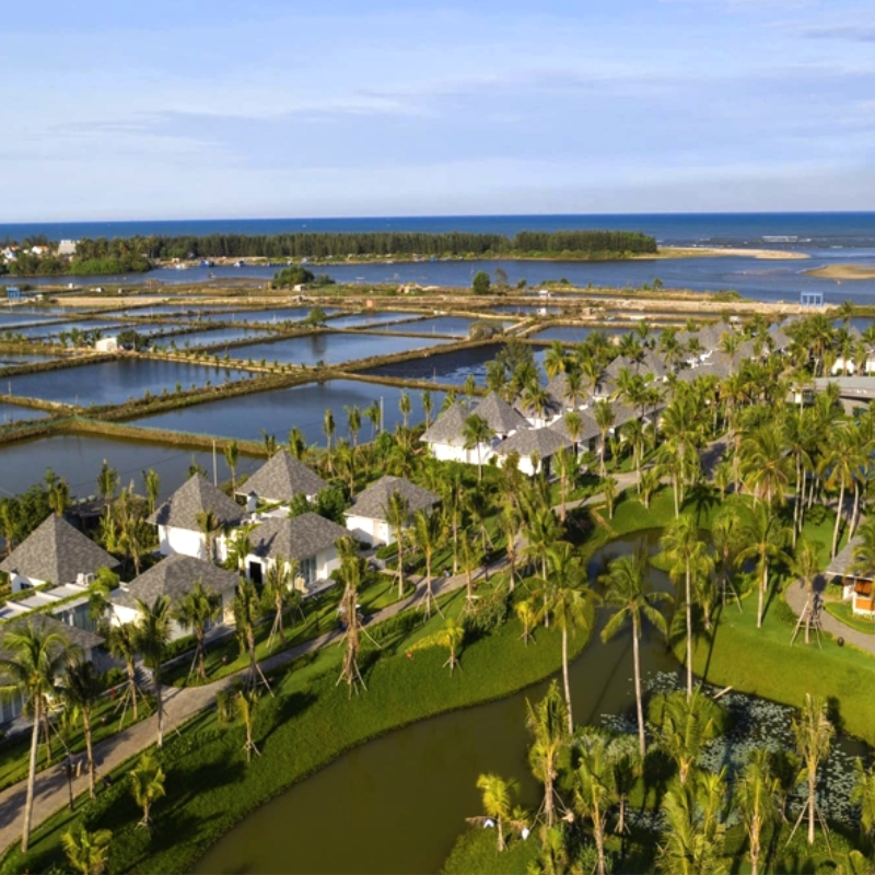 Local Trips .ORG Chuyên Cung Cấp Thông Tin Tìm Kiếm, Địa Điểm Tham Quan Tại Bãi Dừa Tư Nghĩa
