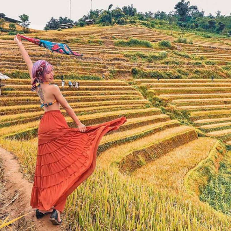 LocalTrips.ORG - Địa Chỉ Tin Cậy Cho Chuyến Khám Phá Ruộng Bậc Thang Hoàng Su Phì