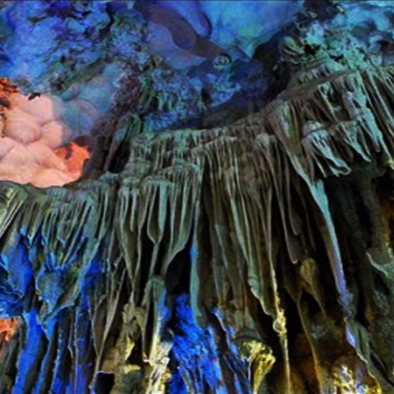 LocalTrips.ORG - Địa Chỉ Đặt Tour Hang Đầu Gỗ Uy Tín, Giá Tốt
