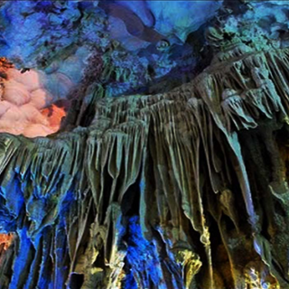 LocalTrips.ORG - Địa Chỉ Đặt Tour Hang Đầu Gỗ Uy Tín, Giá Tốt