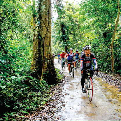 LocalTrips.ORG Chuyên Cung Cấp Thông Tin Tìm Kiếm, Địa Điểm Tham Quan Tại Vườn Quốc Gia Xuân Sơn