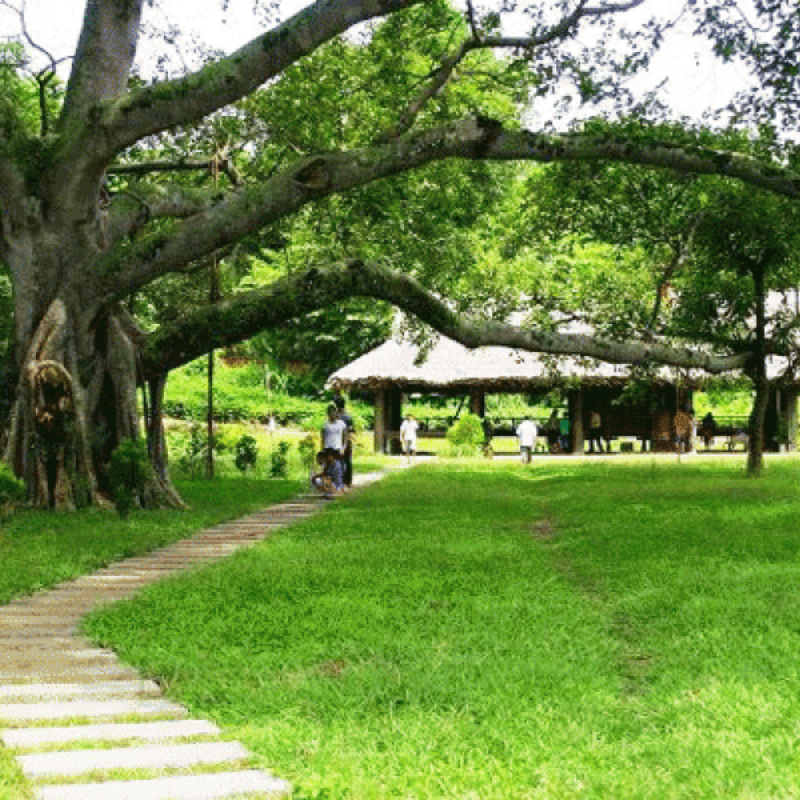 LocalTrips.ORG Chuyên Cung Cấp Thông Tin Tìm Kiếm, Địa Điểm Tham Quan Tại Khu Di Tích Lịch Sử Tân Trào