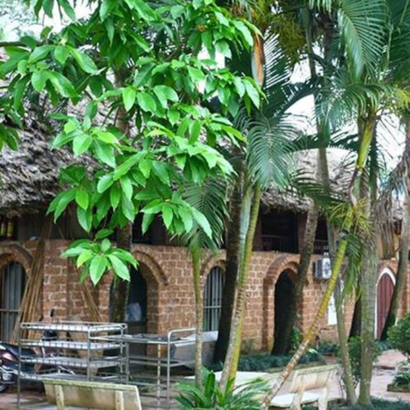 Localtrips.ORG Chuyên Cung Cấp Thông Tin Tìm Kiếm, Địa Điểm Tham Quan Tại Khu Sinh Thái Vườn Quả Từ Liêm