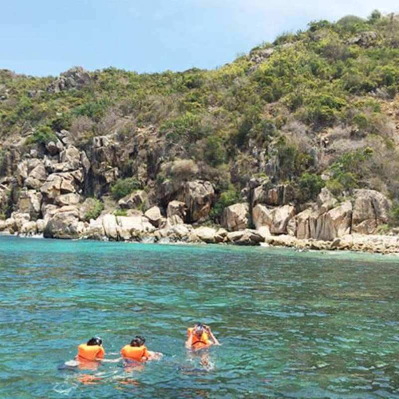 Local Trips .ORG Chuyên Cung Cấp Thông Tin Tìm Kiếm, Địa Điểm Tham Quan Tại Bãi Nhà Cũ

