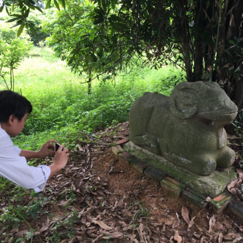 LocalTrips.ORG Chuyên Cung Cấp Thông Tin Tìm Kiếm, Địa Điểm Tham Quan Tại Thành cổ Luy Lâu