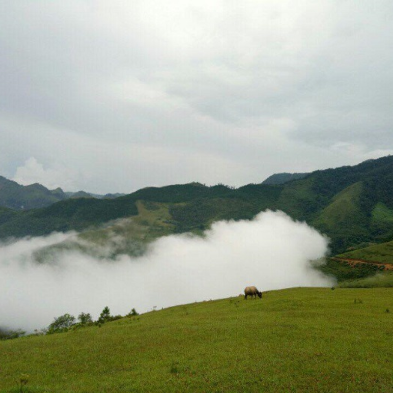 LocalTrips.ORG Chuyên Cung Cấp Thông Tin Tìm Kiếm, Địa Điểm Tham Quan Tại Cao nguyên Lũng Tráng