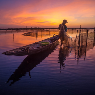 Local Trips .ORG Chuyên Cung Cấp Thông Tin Tìm Kiếm, Địa Điểm Tham Quan Tại Phá Tam Giang
