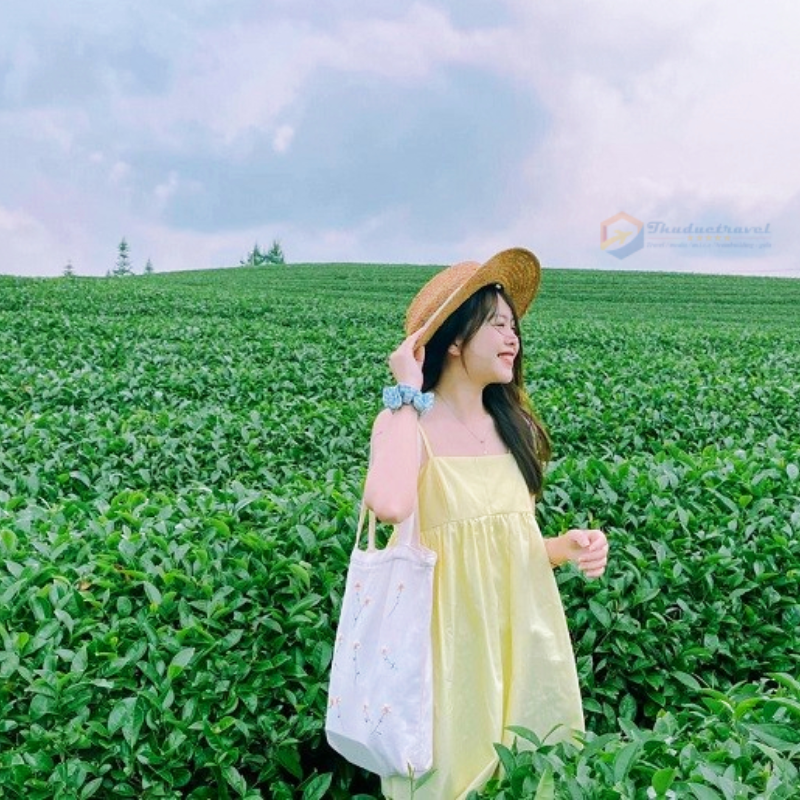Local Trips.ORG Chuyên Cung Cấp Thông Tin Tìm Kiếm, Địa Điểm Tham Quan Tại Đồi Chè Trái Tim Mộc Châu