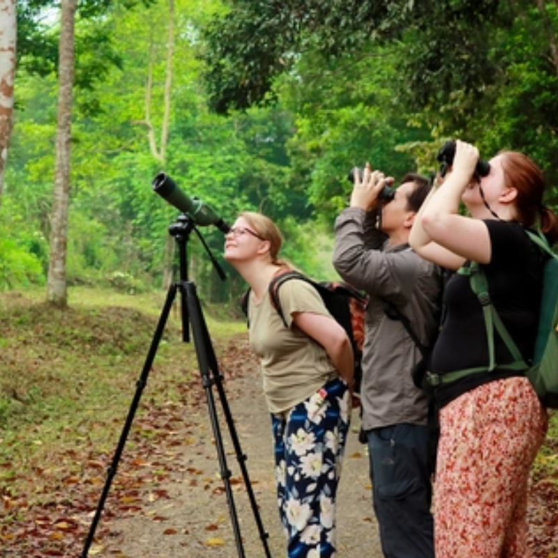 LocalTrips.ORG Chuyên Cung Cấp Thông Tin Tìm Kiếm, Địa Điểm Tham Quan Tại Vườn Quốc Gia Cúc Phương
