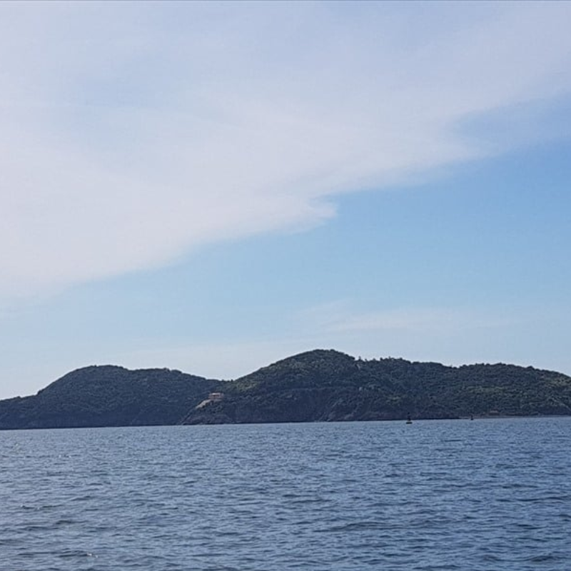LocalTrips.ORG Chuyên Cung Cấp Thông Tin Tìm Kiếm, Địa Điểm Tham Quan Tại Đảo Hòn Ngư
