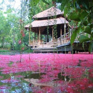 Local Trips .ORG Chuyên Cung Cấp Thông Tin Tìm Kiếm, Địa Điểm Tham Quan Tại Chùa Từ Hiếu