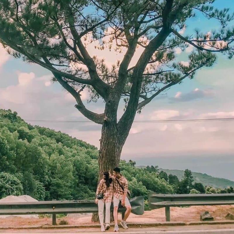 Local Trips .ORG Chuyên Cung Cấp Thông Tin Tìm Kiếm, Địa Điểm Tham Quan Tại Đèo Hải Vân
