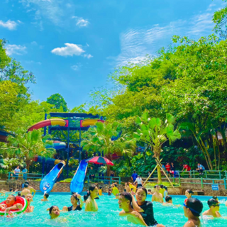 Local Trips .ORG - Cẩm Nang Du Lịch Khu Du Lịch Ao Vua Toàn Diện