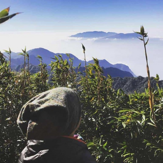 LocalTrips.ORG Chuyên Cung Cấp Thông Tin Tìm Kiếm, Địa Điểm Tham Quan Tại Đỉnh Pu Ta Leng