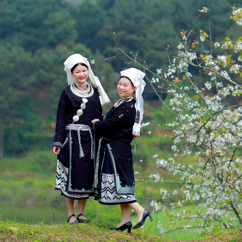 LocalTrips.ORG Chuyên Cung Cấp Thông Tin Tìm Kiếm, Địa Điểm Tham Quan Tại Hồ Bản Chang