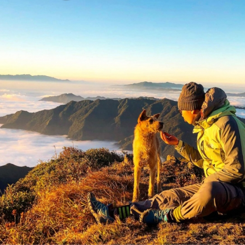 Local Trips.ORG: Đồng Hành Cùng Bạn Khám Phá Bạch Mộc Lương Tử