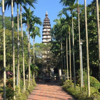 Local Trips .ORG Chuyên Cung Cấp Thông Tin Tìm Kiếm, Địa Điểm Tham Quan Tại Tháp Phổ Minh
