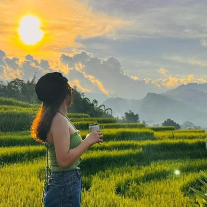 Local Trips .ORG Chuyên Cung Cấp Thông Tin Tìm Kiếm, Địa Điểm Tham Quan Tại Thung Lũng Mường Hoa

