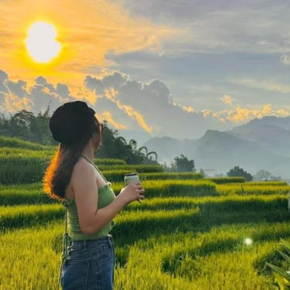 Local Trips .ORG Chuyên Cung Cấp Thông Tin Tìm Kiếm, Địa Điểm Tham Quan Tại Thung Lũng Mường Hoa
