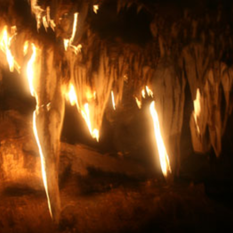 Local Trips .ORG Chuyên Cung Cấp Thông Tin Tìm Kiếm, Địa Điểm Tham Quan Tại Động Song Long
