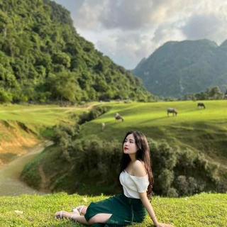 Local Trips .ORG Chuyên Cung Cấp Thông Tin Tìm Kiếm, Địa Điểm Tham Quan Tại Thảo Nguyên Đồng Lâm

