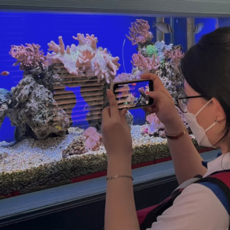 Local Trips .ORG Chuyên Cung Cấp Thông Tin Tìm Kiếm, Địa Điểm Tham Quan Tại Viện Hải Dương Học Nha Trang
